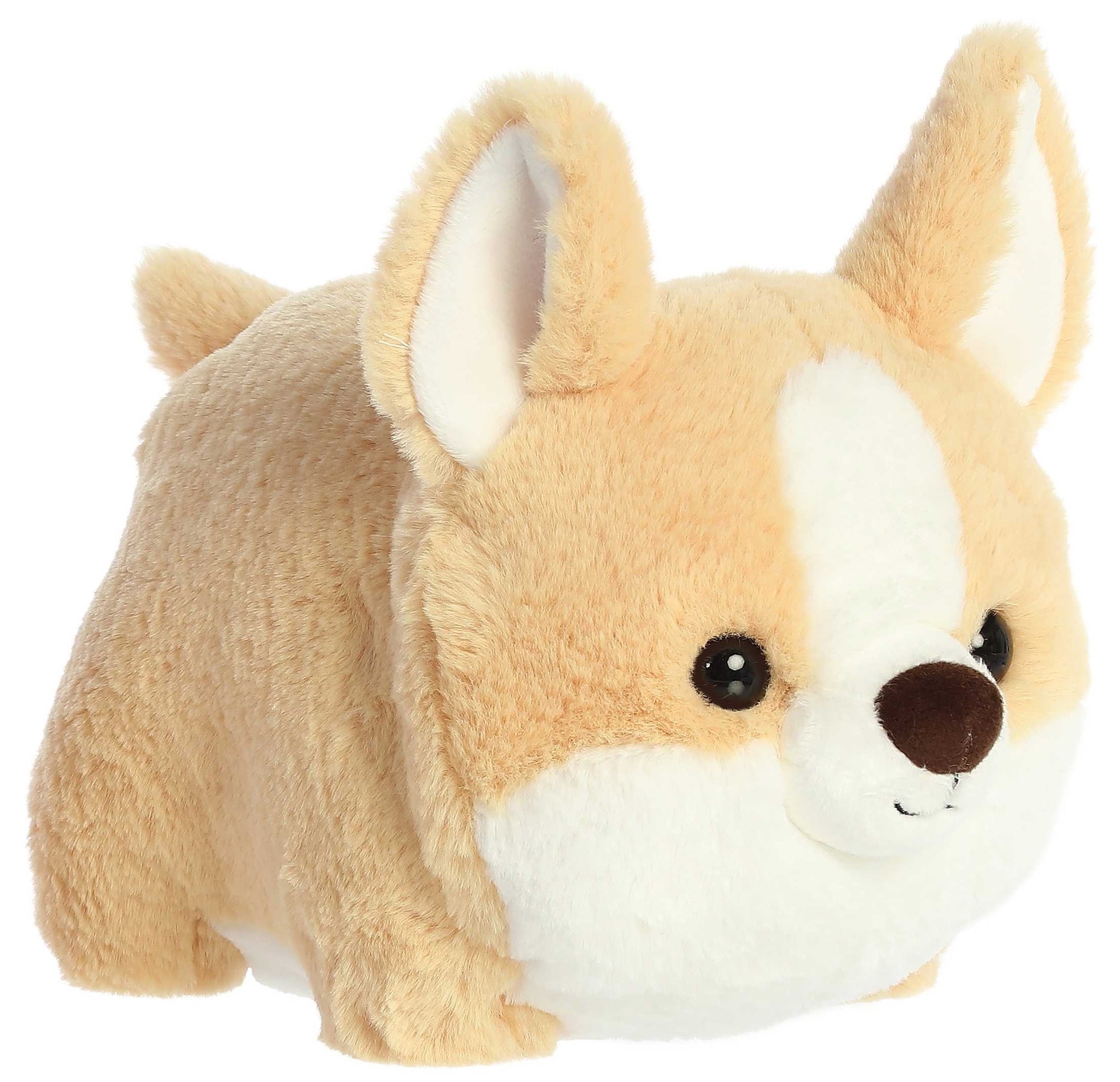 10" Spudsters Colby Corgi