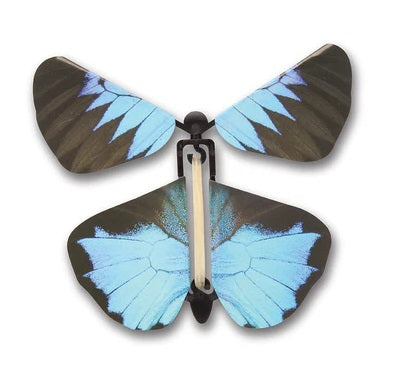 Wind up Butterfly