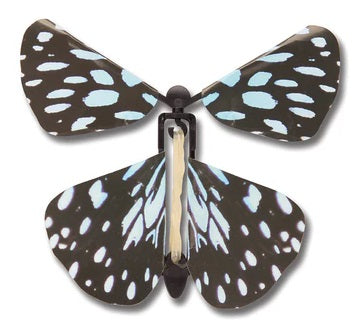 Wind up Butterfly