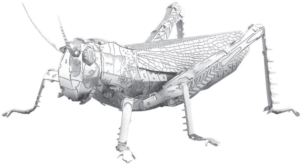 Metal Earth Grasshopper