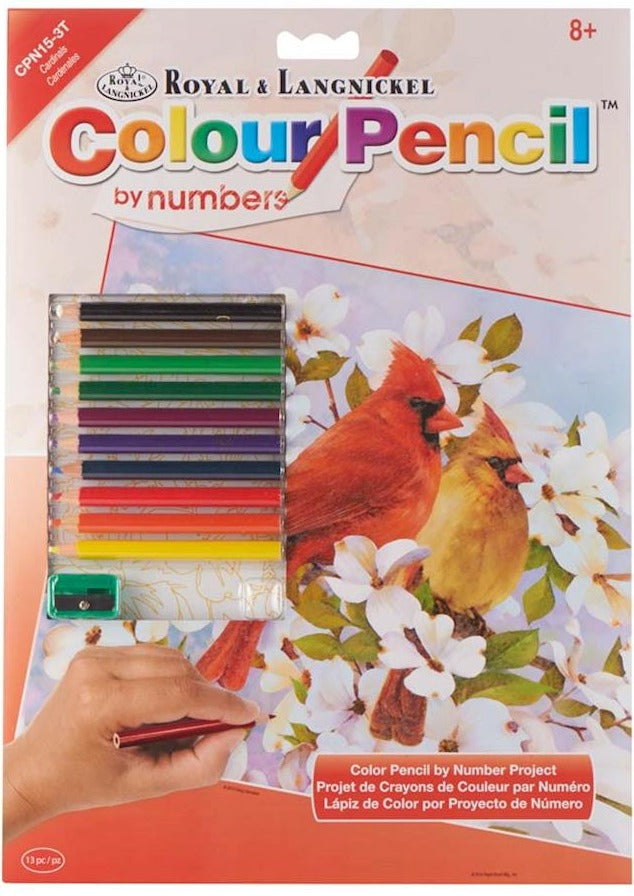 Royal Brush Color By Number Cardinals