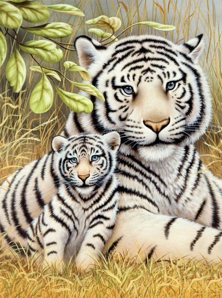 Royal Brush Paint By Number Junior Small White Tiger Pair